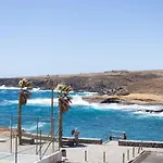 Live Cangrejo Daire