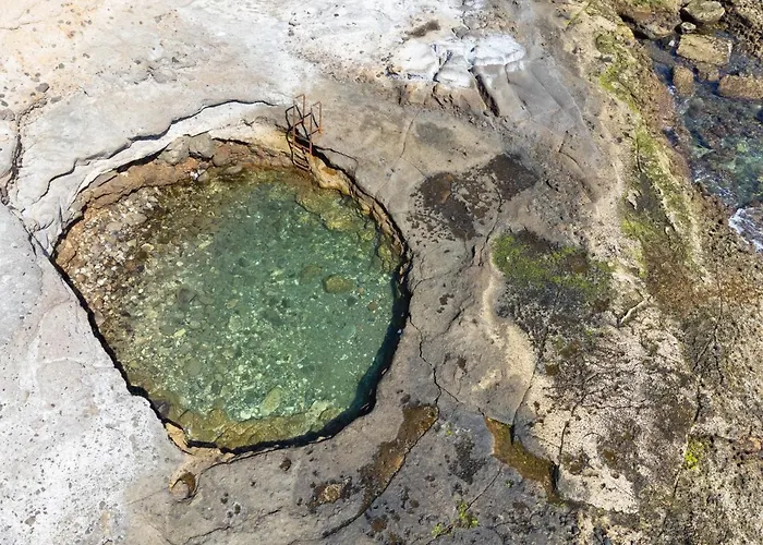 Daire Live Cangrejo *