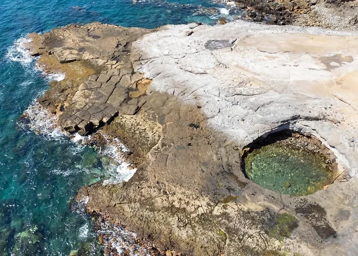 Live Cangrejo * Arico